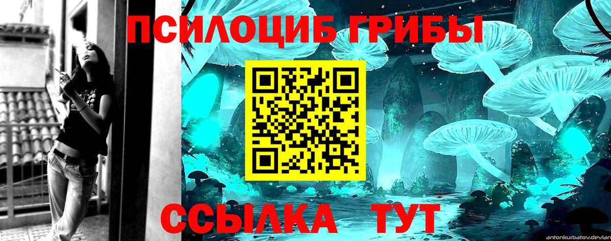 Галлюциногенные грибы MAGIC MUSHROOMS Советск