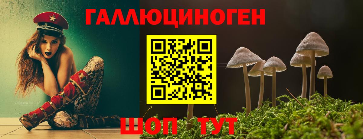 Псилоцибиновые грибы прущие грибы  Галлюциногенные грибы Psilocybe  Вход с VPN  где продают   Советск 